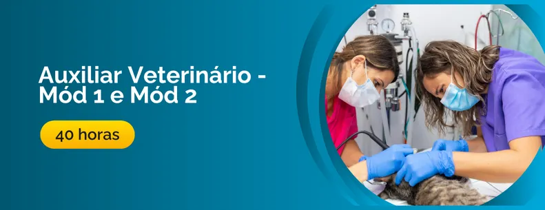Curso de Auxiliar Veterinário